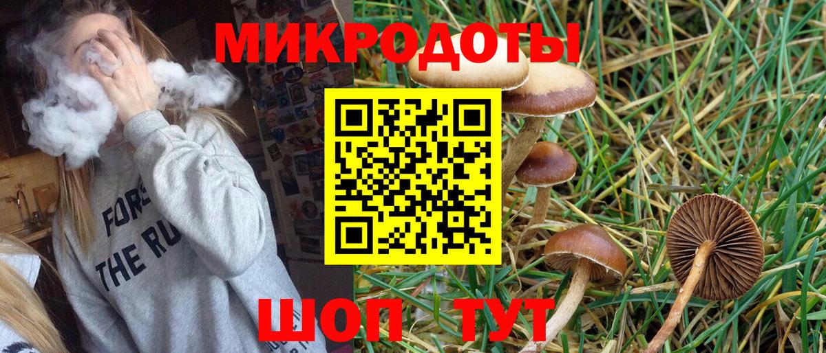Псилоцибиновые грибы Psilocybe  Вход с VPN  Галлюциногенные грибы мицелий  Кисловодск 